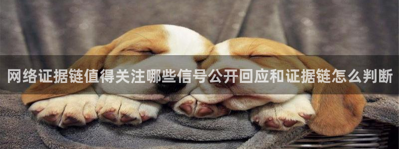 911吃瓜最新热搜