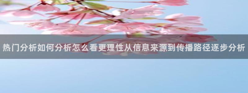 911爆料事件动态